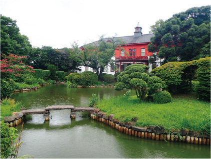 小石川植物園　日本庭園と旧東京医学校の写真